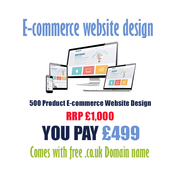 cheap 500 product ecommerce website design